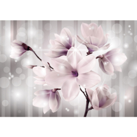 Fotobehang poster 1770 magnolia bloemen planten roze