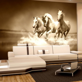 Fotobehang poster 2934 paarden dieren wit water