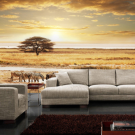 Fotobehang poster 0236 natuur dieren zebra safari