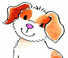NW Sweet collection baby 5048b hond