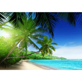 Fotobehang poster 3160 palm strand zee tropisch