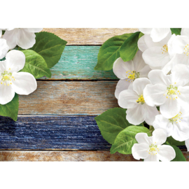 Fotobehang poster 2115 bloemen orchidee planken blauw