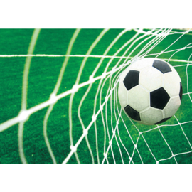 Fotobehang poster 0272 kinderkamer sport voetbal net doel