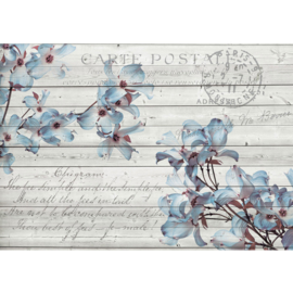 Fotobehang poster 1418 bloemen blauw hout