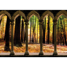 Fotobehang poster 2801 bomen bos zuilen