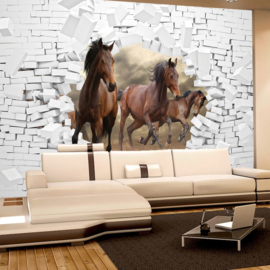 Fotobehang poster 3383 dieren paard bruin stenen muur wit