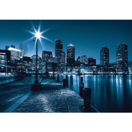 Fotobehang 0856 USA New York straat lantaarn nacht blauw