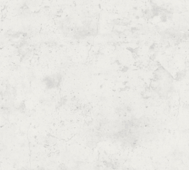 AS 374293 uni beton licht grijs