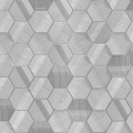 Z12830 grafisch hexagon licht bruin