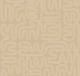 60711 Sarana Cashew touw grafisch