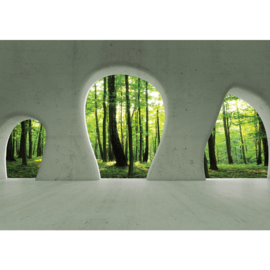 Fotobehang 1259 doorkijk natuur bos bomen architectuur