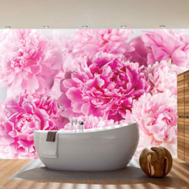 Fotobehang poster 2259 bloemen roze