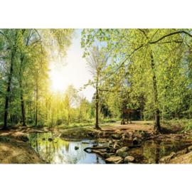 Fotobehang poster 3350 bomen vlakte bos groen natuur rotsen