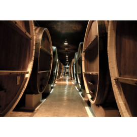 Fotobehang 58 wijnvaten wijnkelder