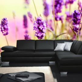 Fotobehang poster 0197 bloemen paars weidebloem