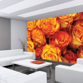 Fotobehang poster 0984 bloemen rozen roos oranje