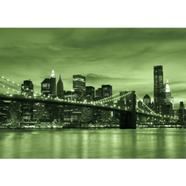 Fotobehang 0669 canada toronto skyline groen brug