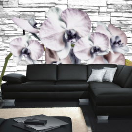 Fotobehang poster 1213 bloemen orchidee wit stenen muur