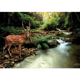 Fotobehang poster 0399 dieren hert in bos met water