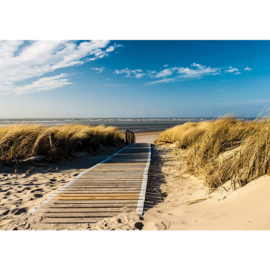 Fotobehang poster 2948 natuur duinen strand