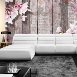 Fotobehang poster 2281 hout roze bloemen