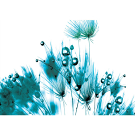 Fotobehang poster 0806 bloemen planten blauw