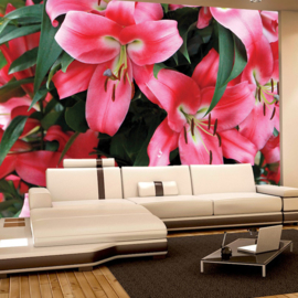 Fotobehang poster 2048 bloemen kelk tropisch roze