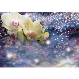 Fotobehang poster 1763 orchidee water blauw bloemen