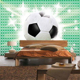 Fotobehang poster 1038 kinderkamer voetbal sport groen wit groningen