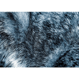 Fotobehang poster 4372 dierenhuid vacht bont harig haar grijs blauw
