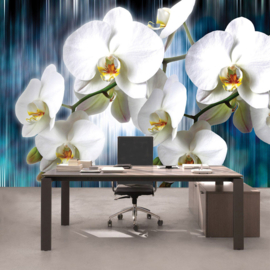 Fotobehang poster 2257 bloemen orchidee regen