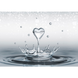 Fotobehang poster 1771 hart water