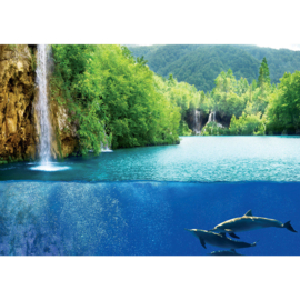 Fotobehang poster 2043 dieren dolfijn aquarium waterval glazen wand