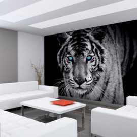 Fotobehang poster 0426 dieren tijger met blauwe ogen