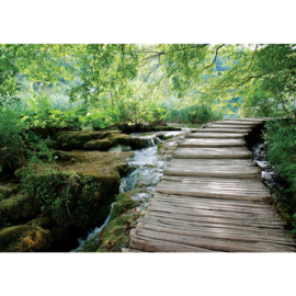Fotobehang poster 3065 bos natuur beek stroom waterval