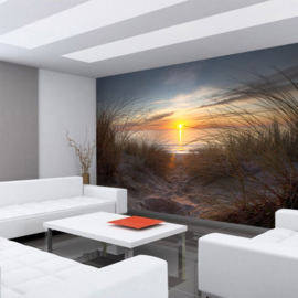 Fotobehang poster 0074 natuur strand noorzee duinen zonsondergang