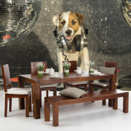 Fotobehang poster 3293 dieren hond disco muziek dj