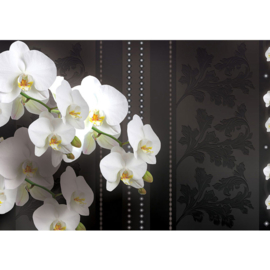 Fotobehang poster 1828 bloemen orchidee planten wit