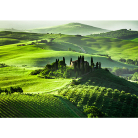 Fotobehang poster 0068 natuur uitzicht toscane groen landschap