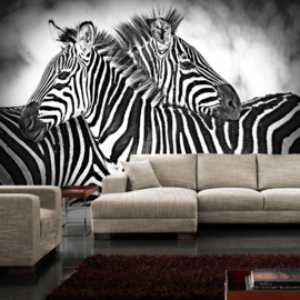 Fotobehang poster 3576 dieren zebra paard paarden zwart wit africa