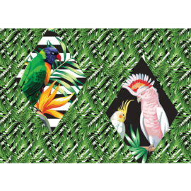 Fotobehang poster 4360 vogel dieren papegaai