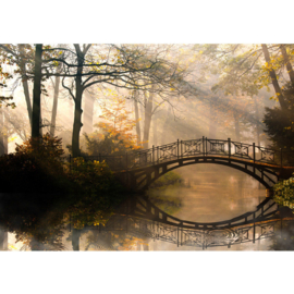 Fotobehang poster 0264 bos bomen brug water herfst