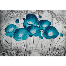 Fotobehang poster 2351 bloemen blauw klaproos schilderij