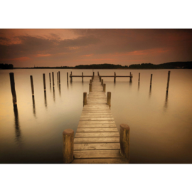 Fotobehang posyter 1255 steiger mist natuur