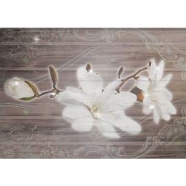 Fotobehang poster 2169 bloemen orchidee op hout
