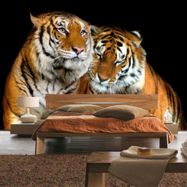 Fotowand poster 0322 dieren tijger roofdier safari
