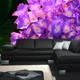 Fotobehang poster 1478 bloemen paars natuur