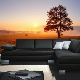 Fotobehang poster 0238 zonsondergang boom natuur mist
