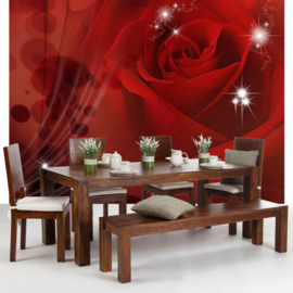 Fotobehang poster 1105 bloemen rozen roos rood