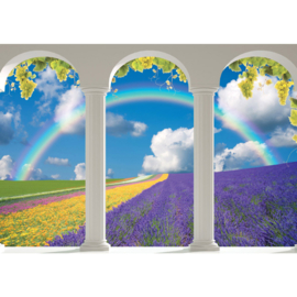 Fotobehang poster 2247 uitzicht terras met bogen op bollenveld bloemen regenboog